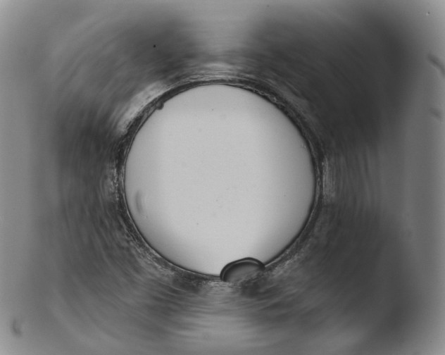 X0000103441453200809261743