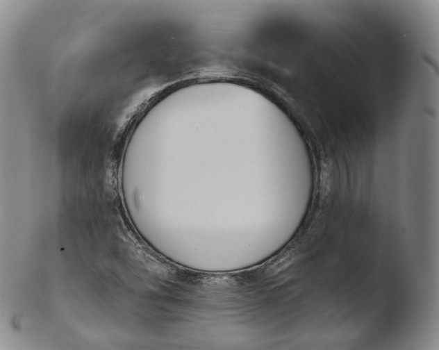 X0000103441454200809261743