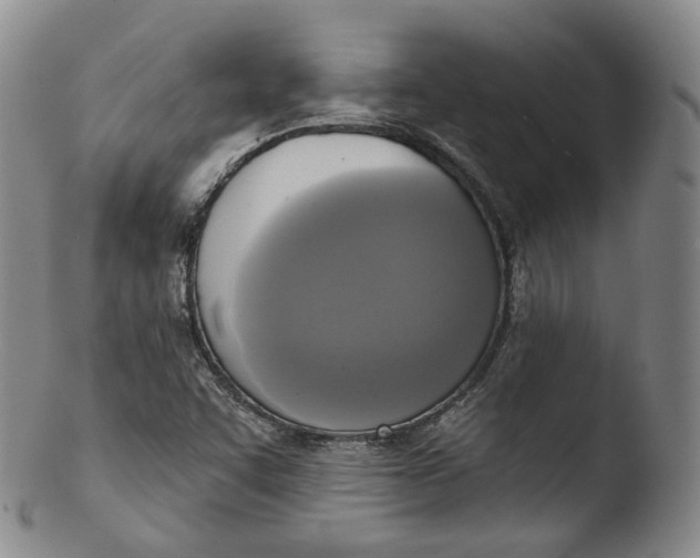 X0000103441455200809261743