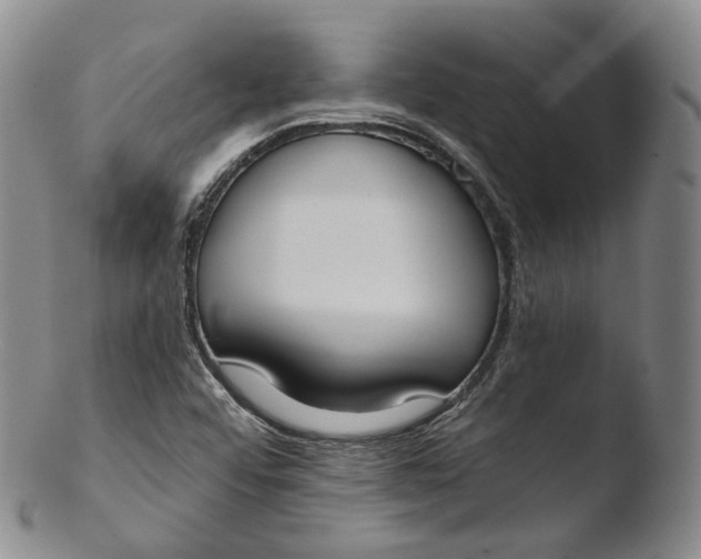 X0000103441456200809261743