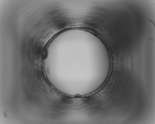 X0000103441457200809261743