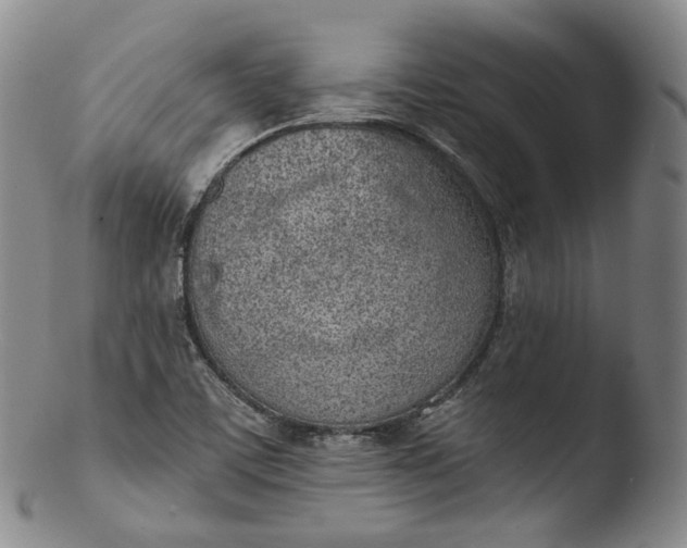 X0000103441459200809261743