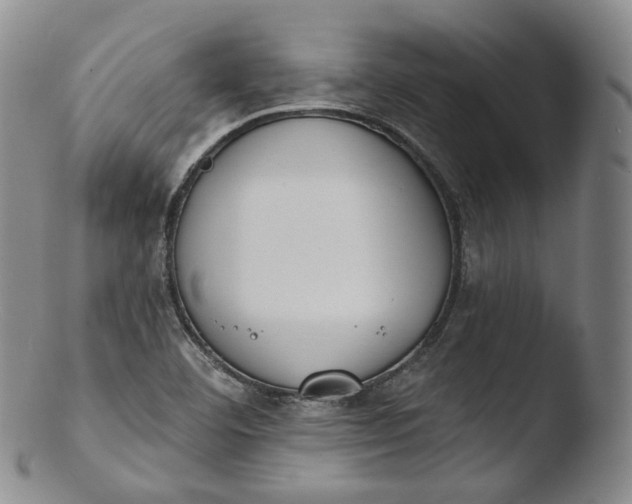 X0000103441460200809261743