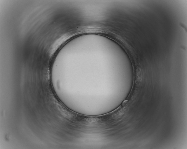 X0000103441461200809261743