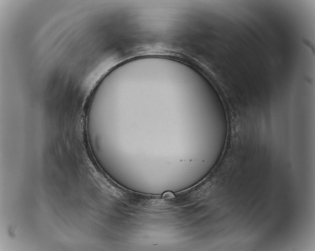 X0000103441463200809261743