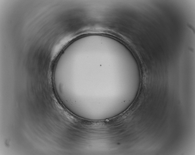 X0000103441464200809261743