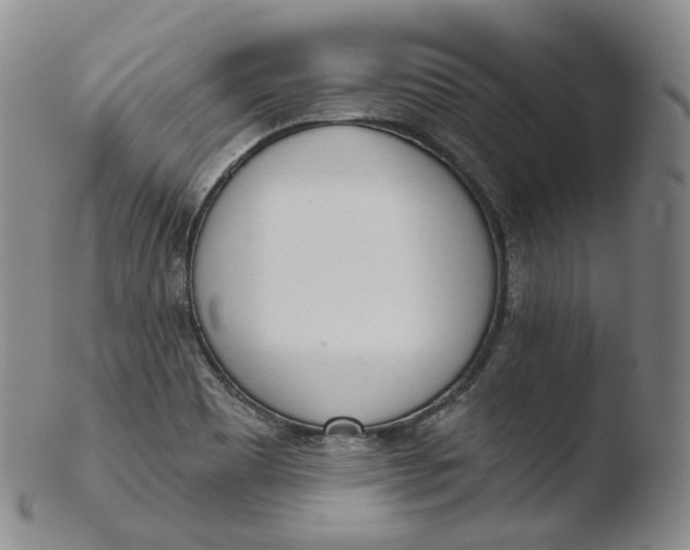 X0000103441465200809261743