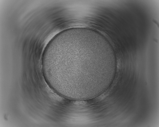 X0000103441466200809261743