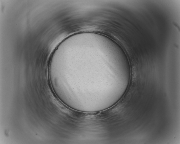 X0000103441467200809261743