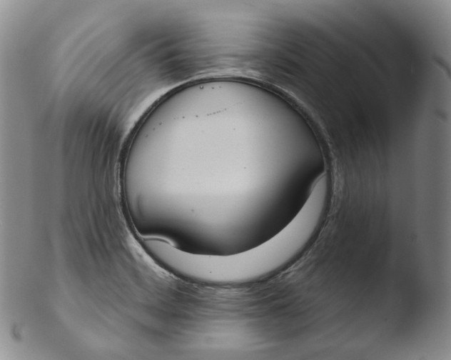X0000103441468200809261743
