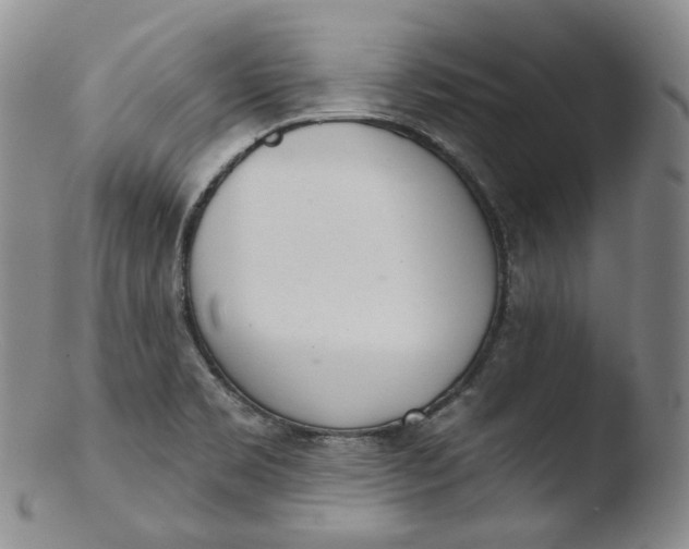 X0000103441469200809261743