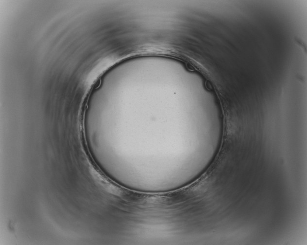 X0000103441471200809261743
