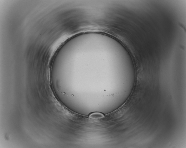 X0000103441472200809261743