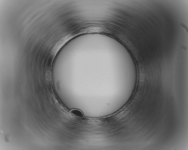 X0000103441473200809261743