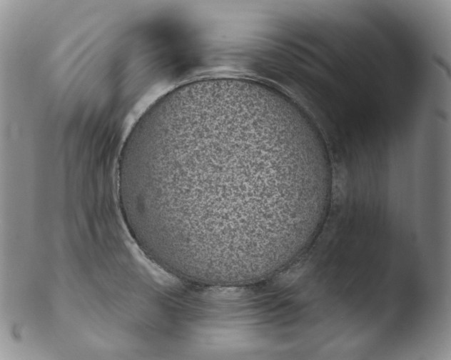 X0000103441474200809261743