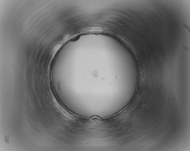 X0000103441475200809261743