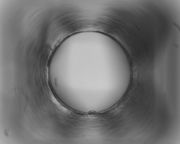 X0000103441476200809261743