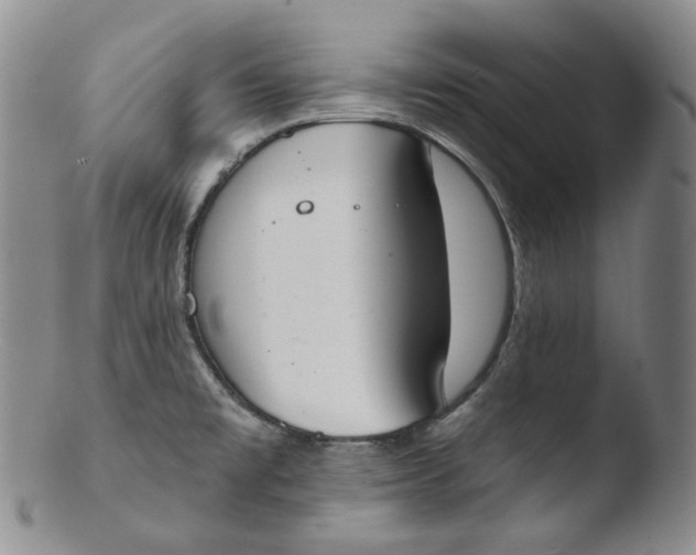 X0000103441477200809261743