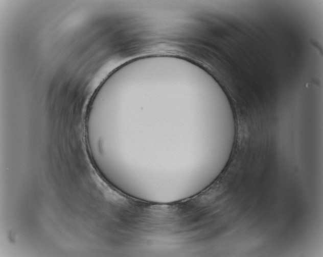 X0000103441478200809261743