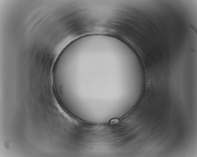 X0000103441479200809261743
