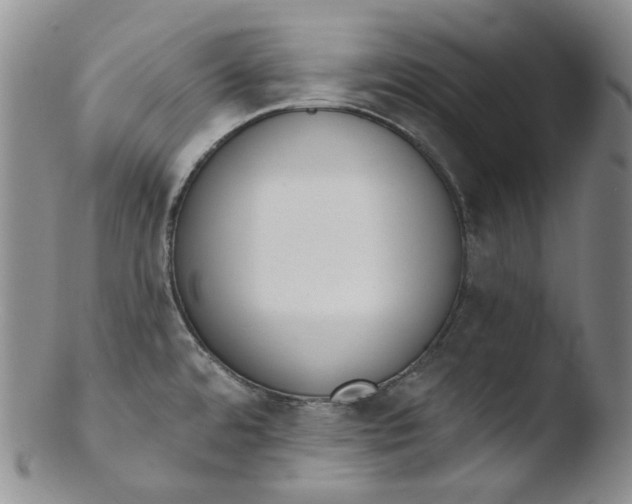 X0000103441480200809261743