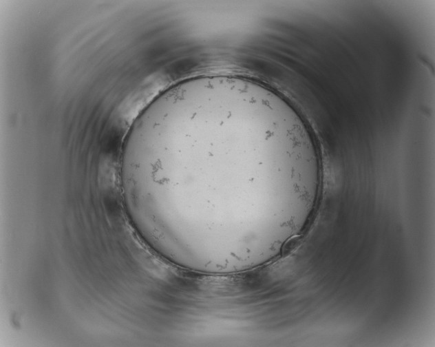 X0000103441481200809261743