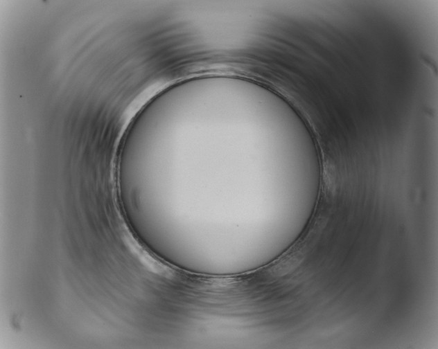 X0000103441482200809261743