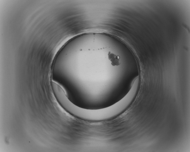 X0000103441484200809261743