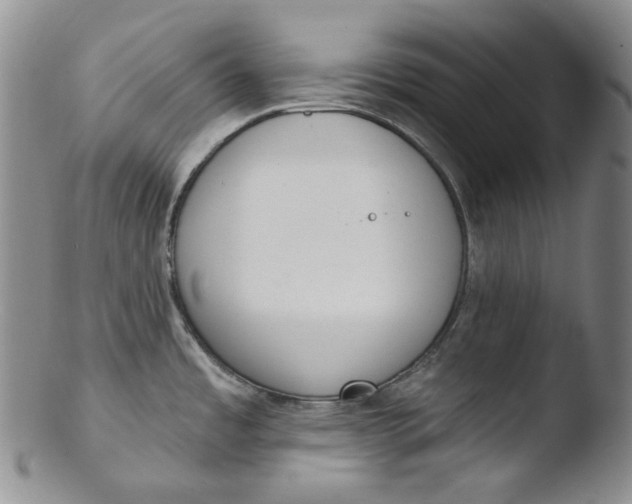 X0000103441485200809261743