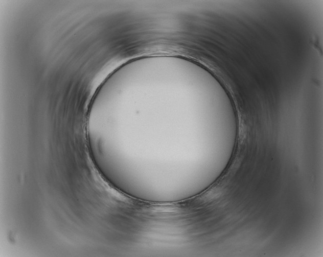 X0000103441486200809261743