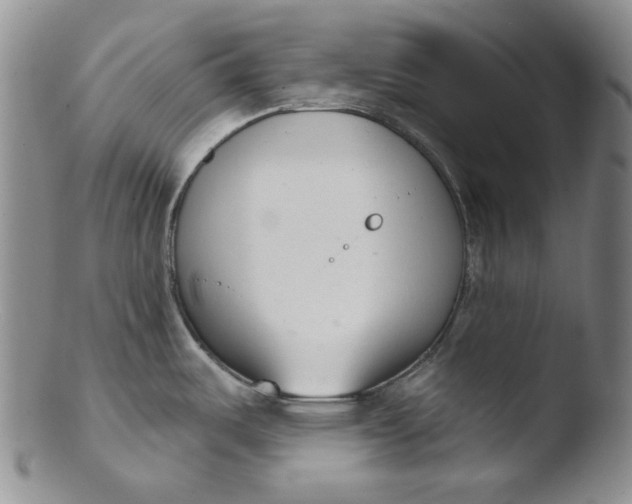 X0000103441487200809261743