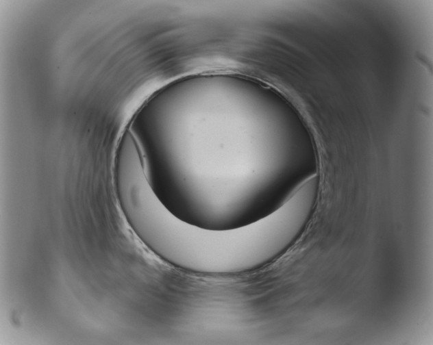 X0000103441488200809261743