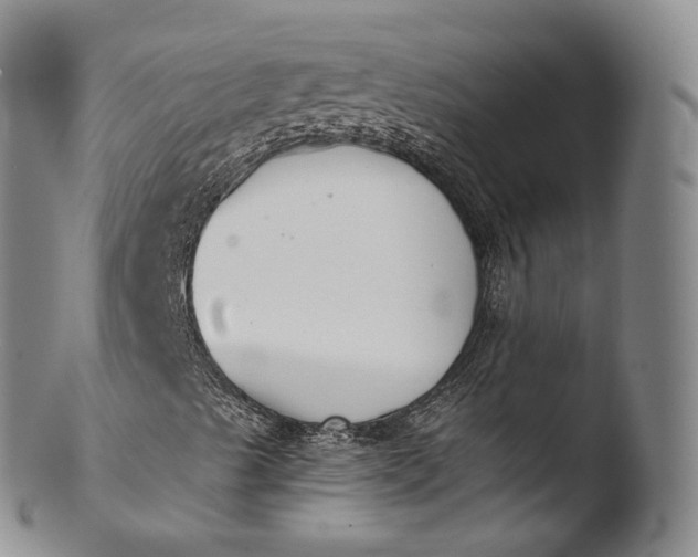X0000103441489200809261742