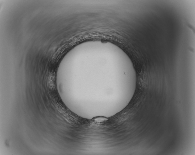 X0000103441490200809261742