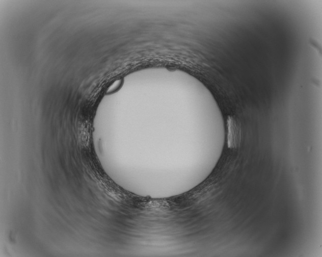 X0000103441491200809261742