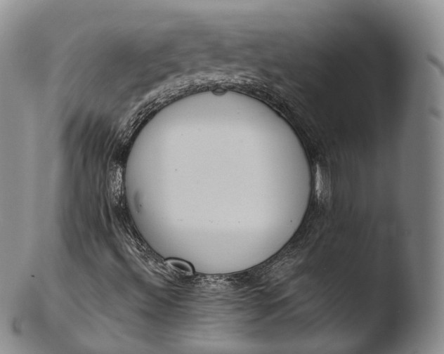 X0000103441492200809261742