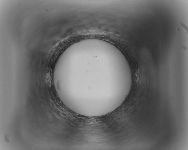X0000103441493200809261742