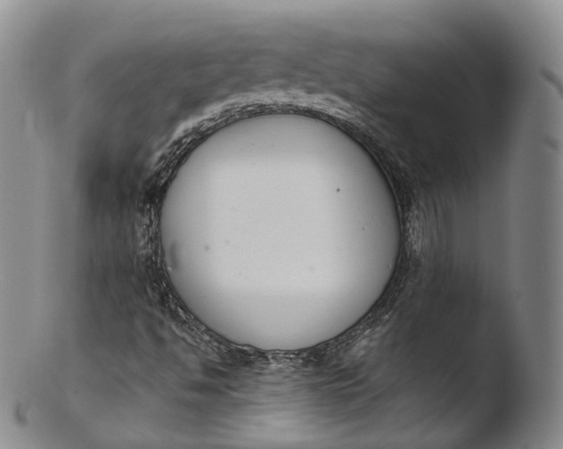 X0000103441494200809261742