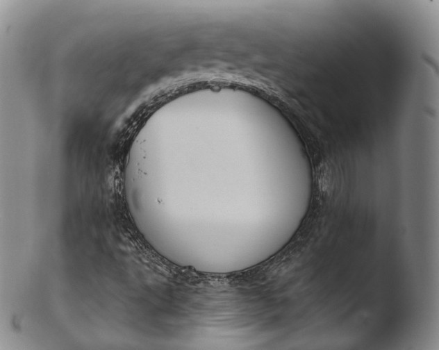 X0000103441495200809261742