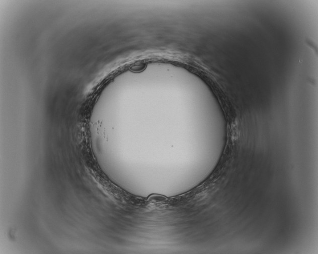 X0000103441496200809261742