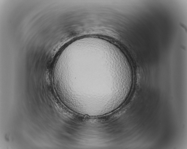 X0000103441497200809261742