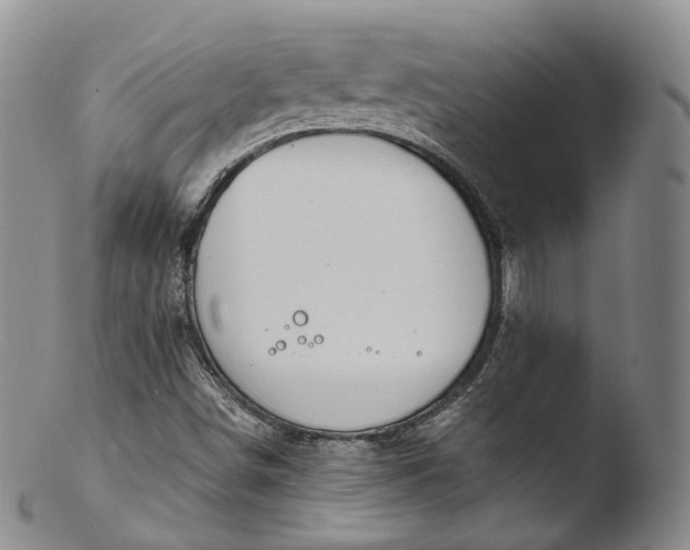 X0000103441498200809261742