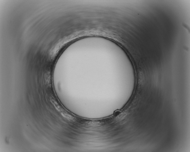 X0000103441499200809261742