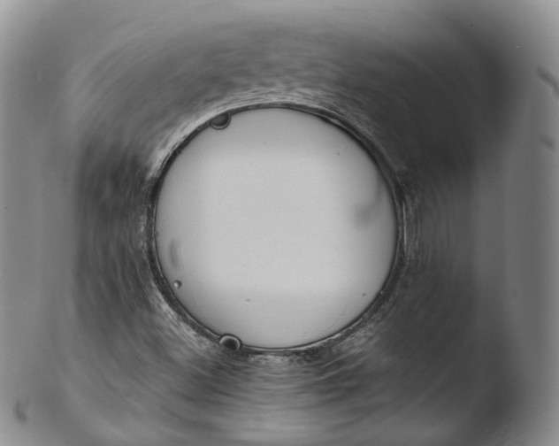 X0000103441500200809261742