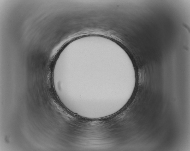 X0000103441502200809261742