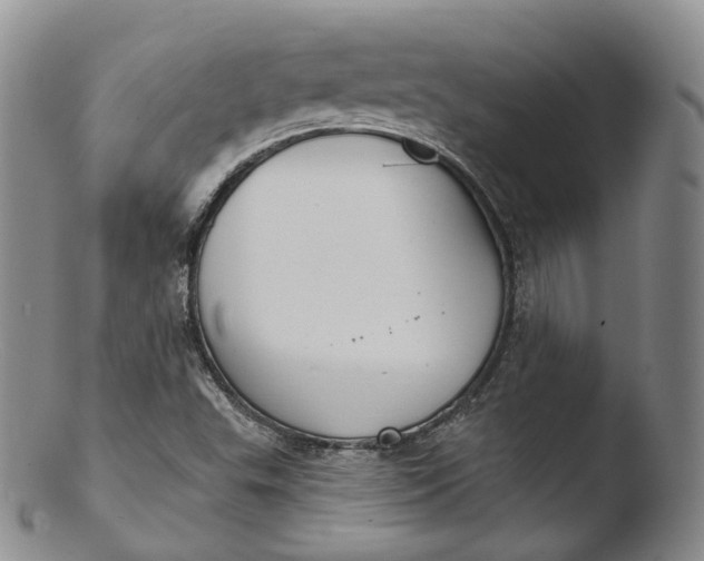X0000103441503200809261742