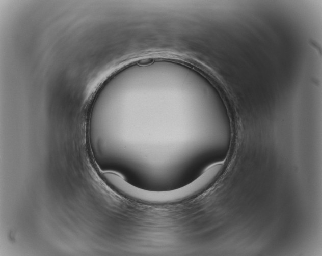 X0000103441504200809261742
