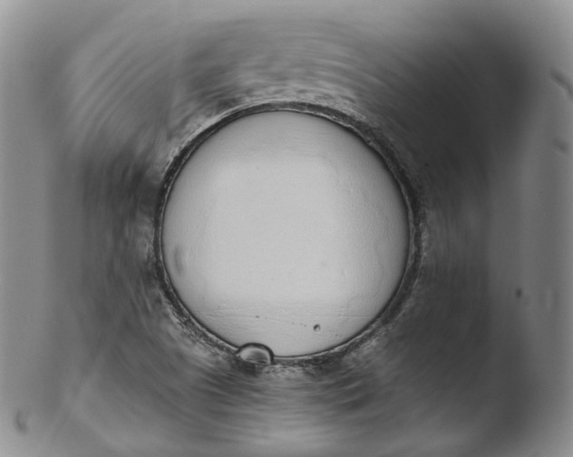 X0000103441505200809261742