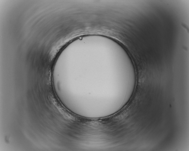 X0000103441507200809261742