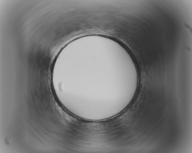 X0000103441508200809261742